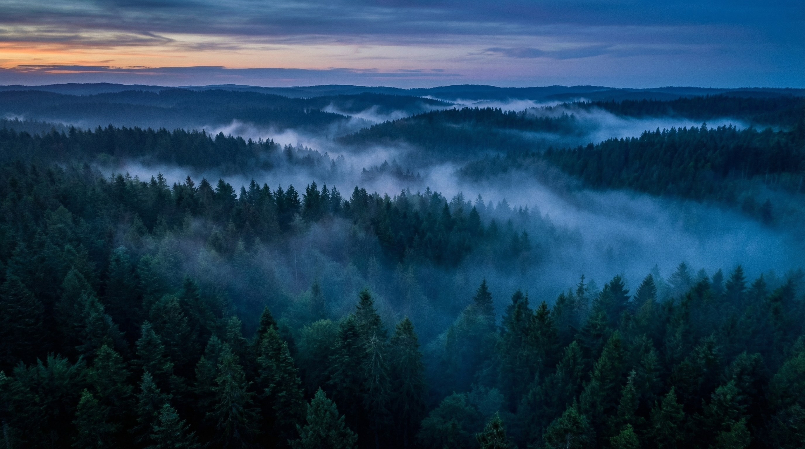 Schwarzwald